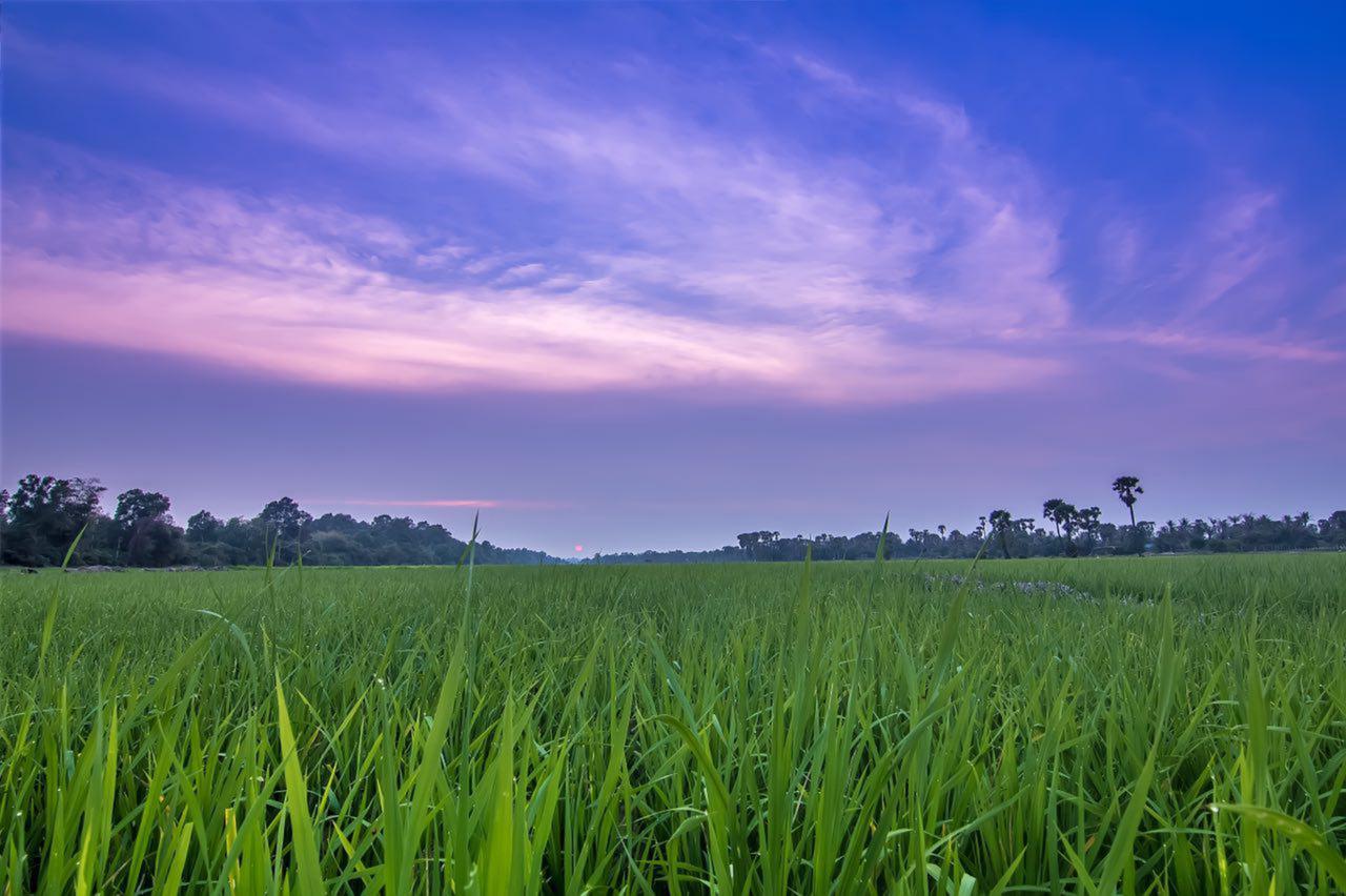 Chhay Long Angkor Boutique Hotel Siem Reap Exterior foto